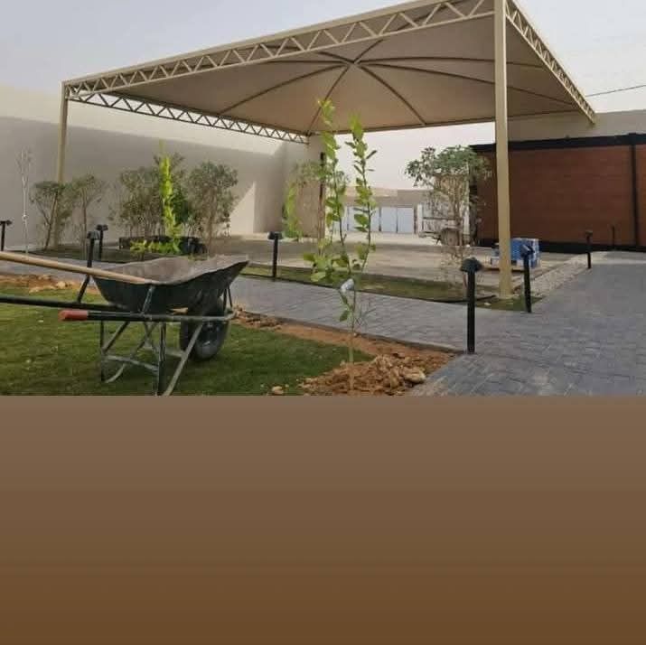 جده حي طيبه