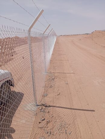 الرياض