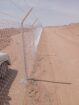 الرياض