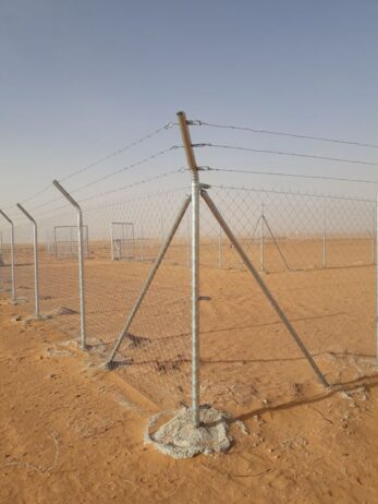 الرياض