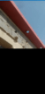 بريده