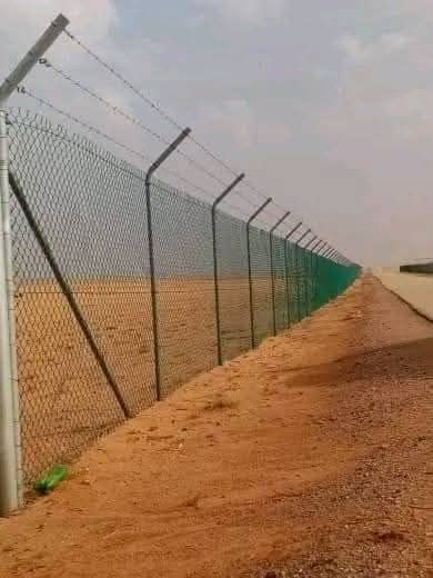 مجالنا في تنفيذ⤵ 1~توريد وزراعة النخيل العربي والو