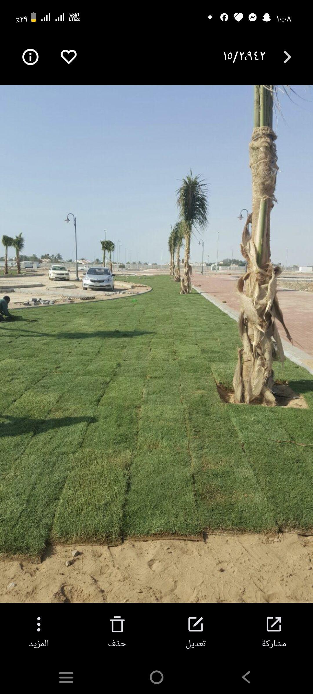 نخل وشنطني وعربي بجميع المقاسات وثيل طبيعي لتواصل