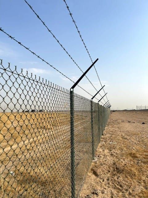 مجالنا في تنفيذ⤵ 1~توريد وزراعة النخيل العربي والو