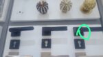 الرياض الياسمين