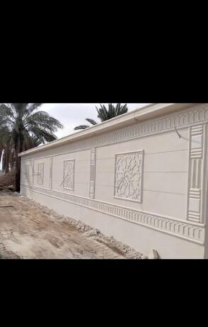 الرياض