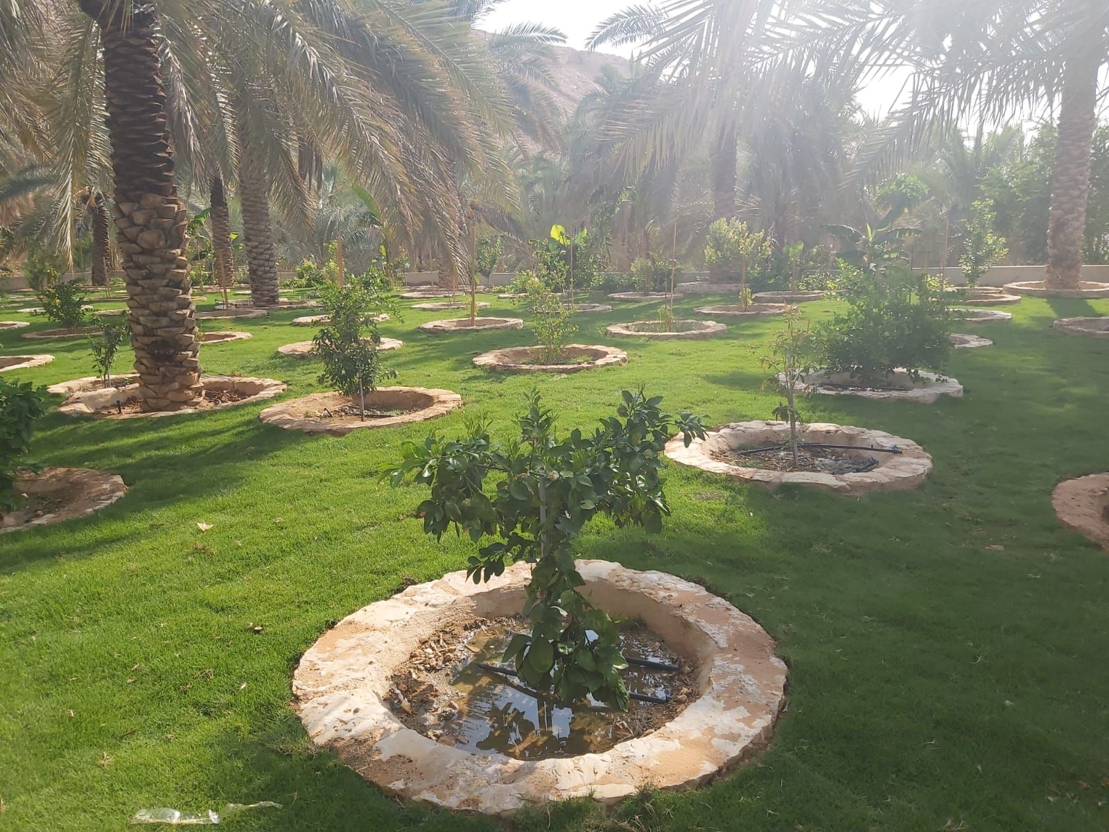 مقاول حجر طبيعي ديكورات