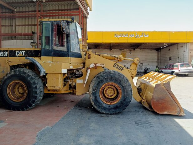 الاحساء