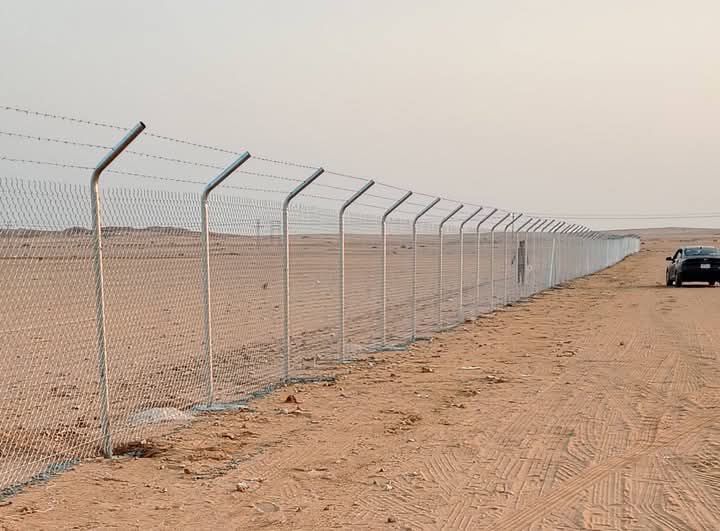 نخل وشنطني وعربي بجميع المقاسات وثيل طبيعي لتواصل