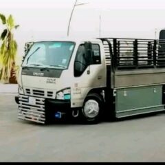 ae003494-6f4b-4e46-b8ab-77c0aaac3e60