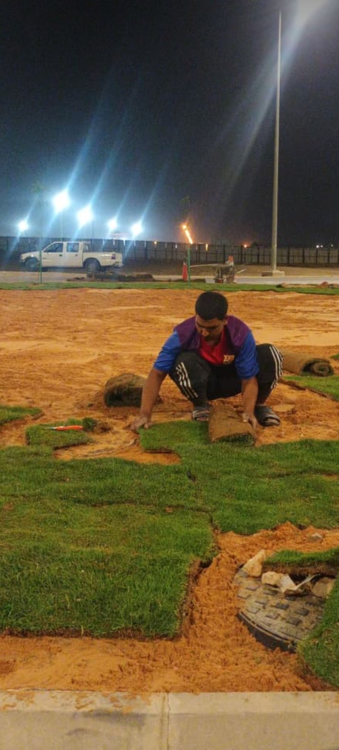 نخل وشنطني وعربي بجميع المقاسات وثيل طبيعي لتواصل