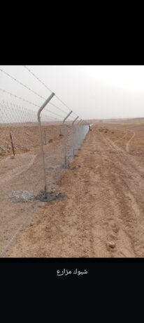مقاول شبوك