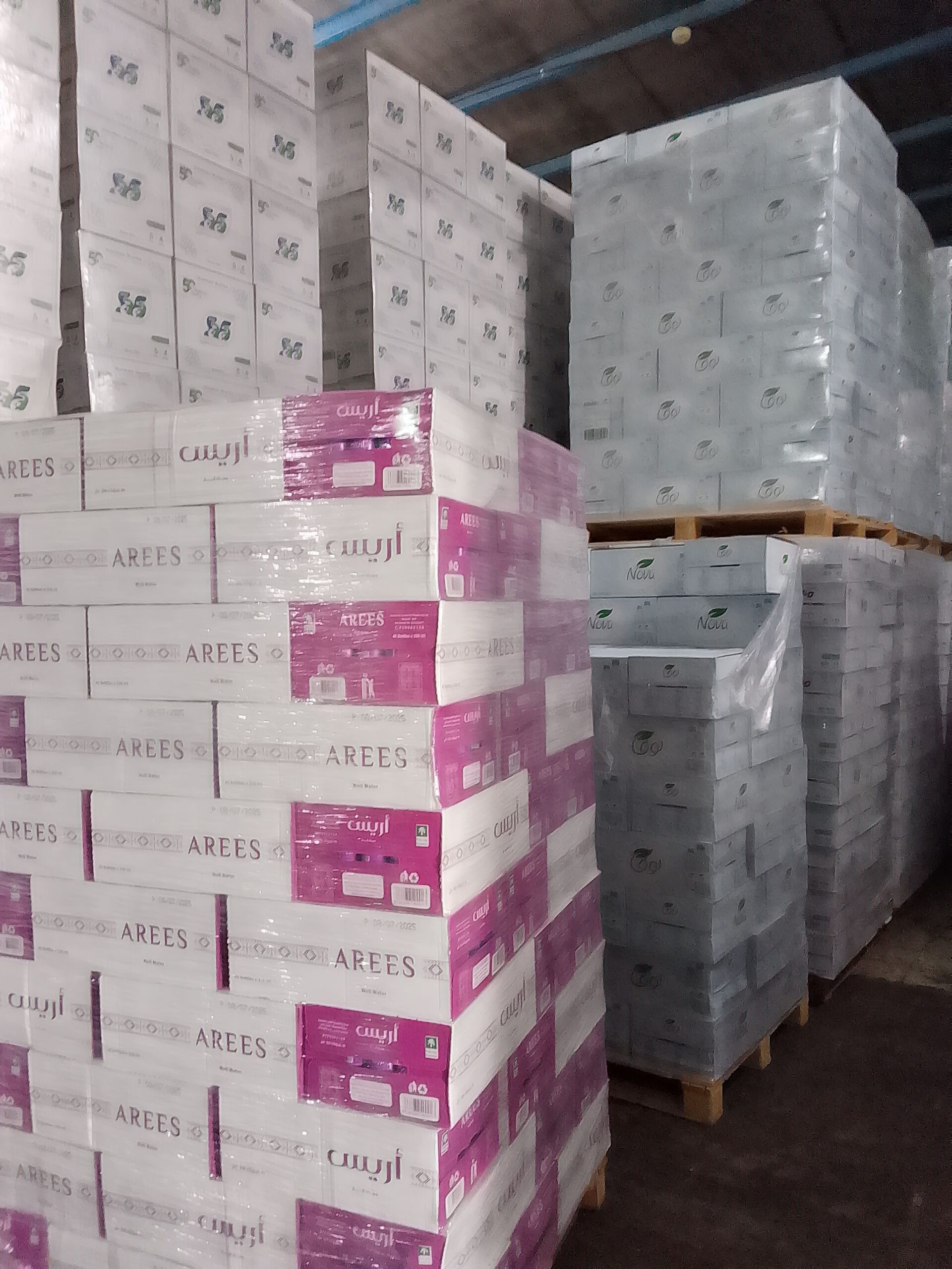 الطائف الشهدا