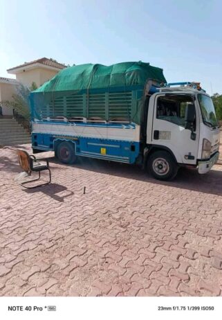 ابوعريش