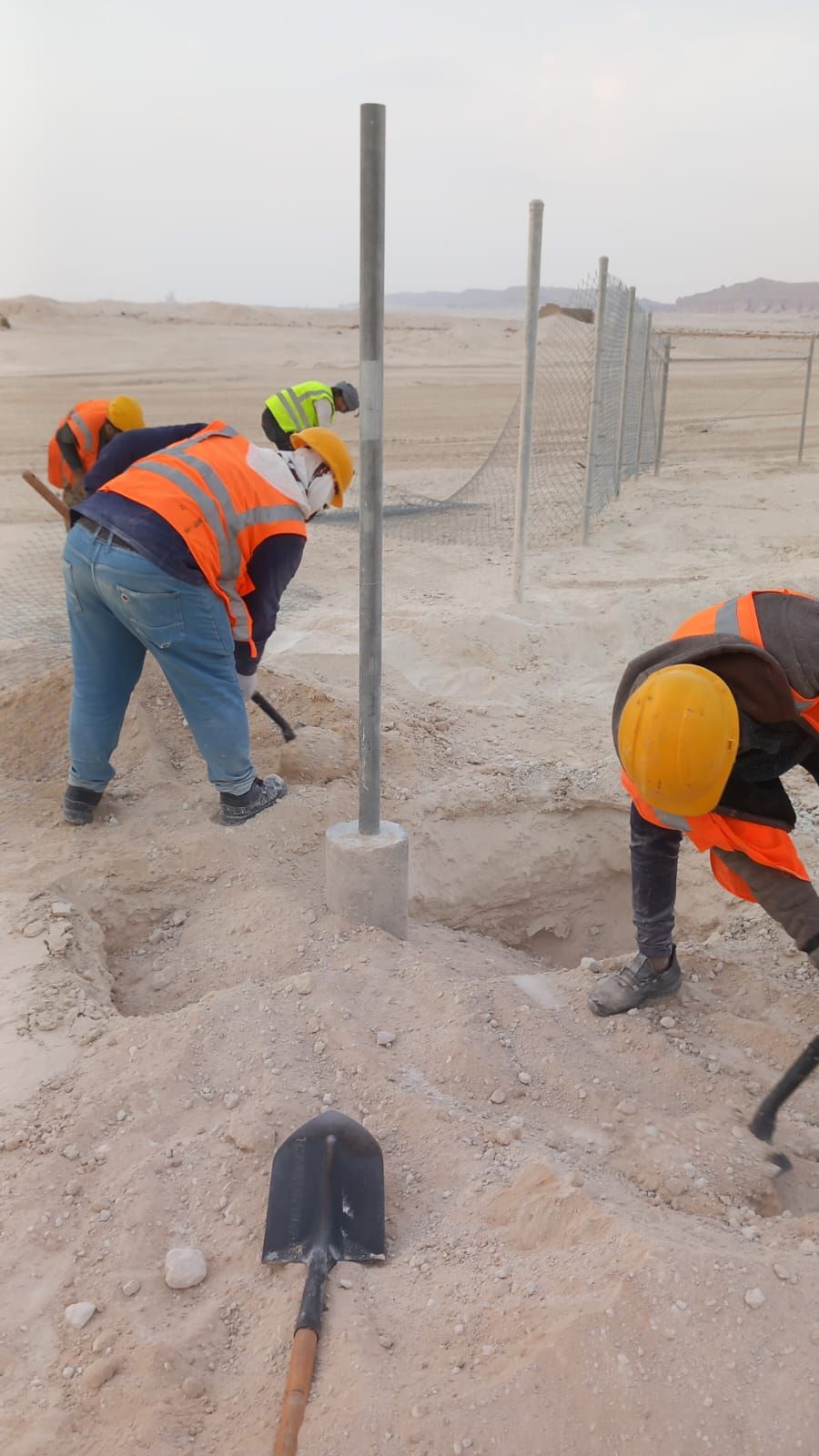 توريدوتركيب شبوك