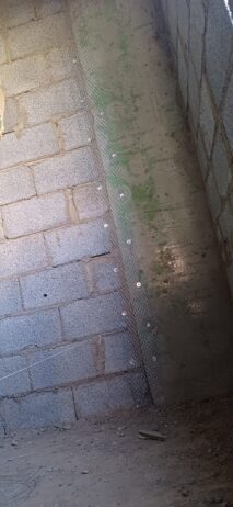 معلمين تلياس مصري