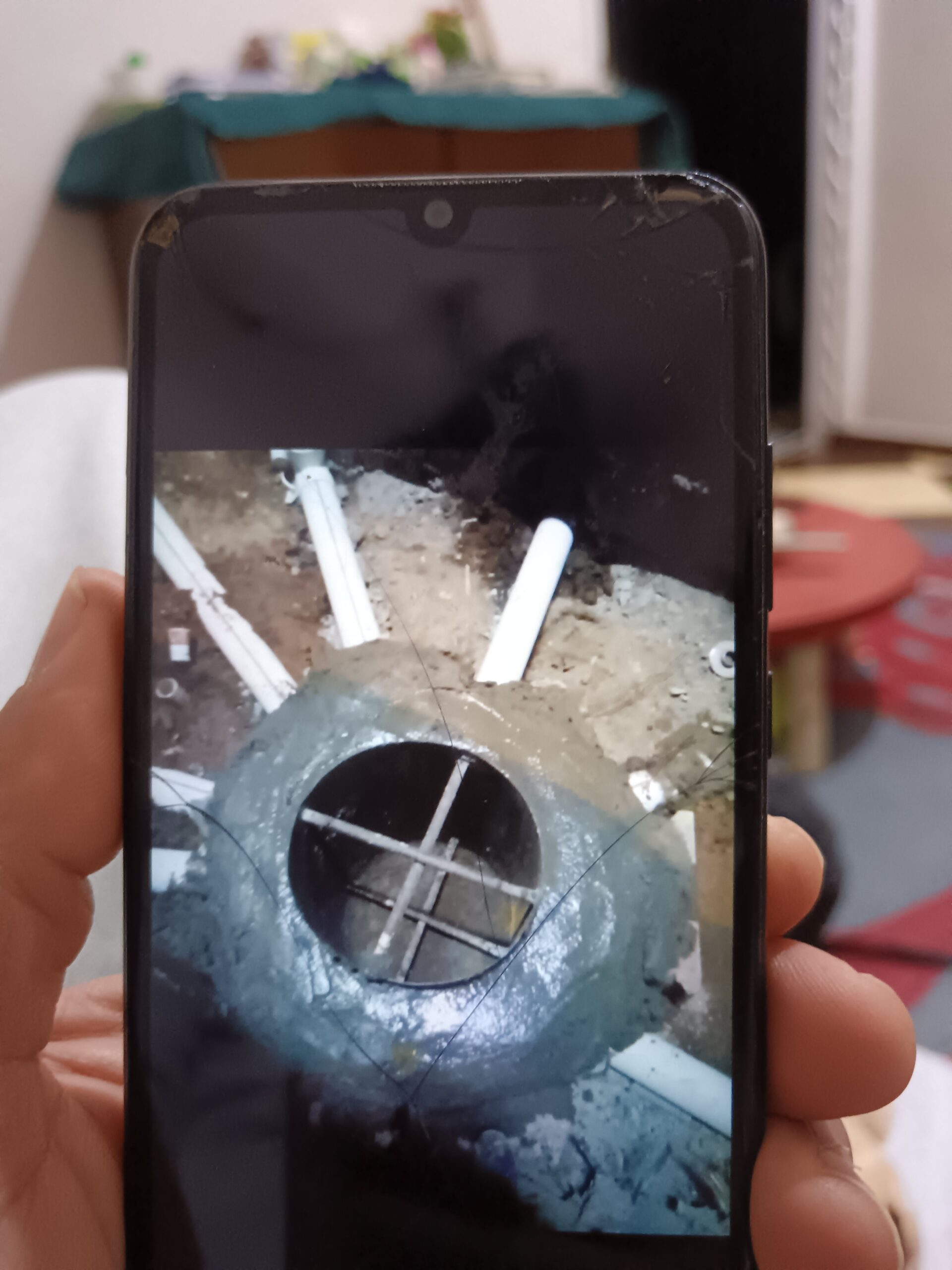 أبها خميس مشيط