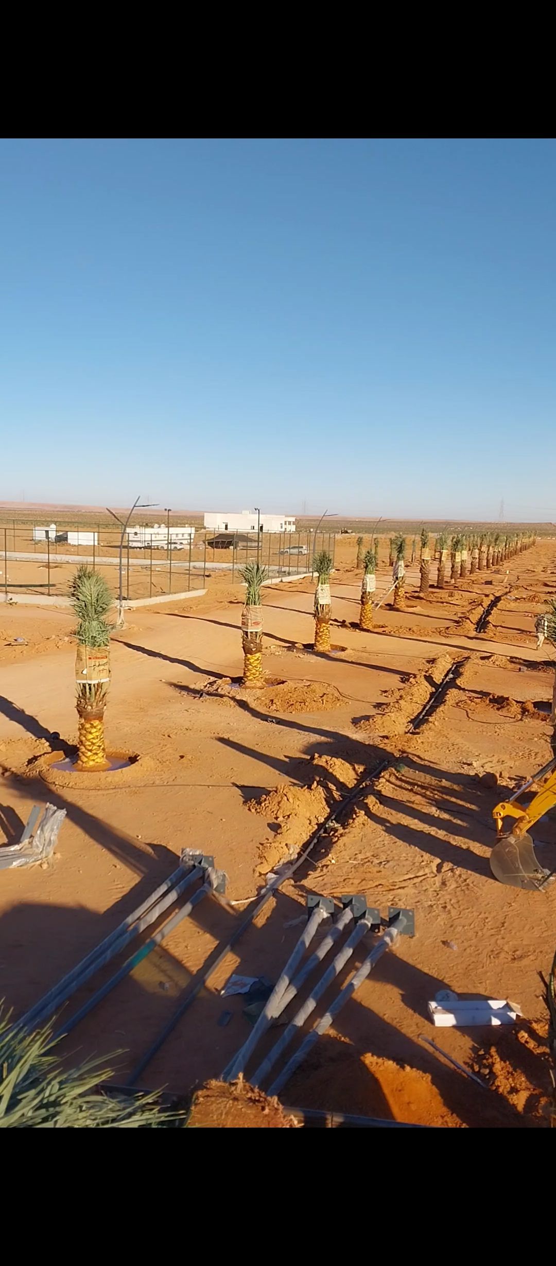 ابو علي توريد جميع انواع انخيل المثمرة وزينه توصيل