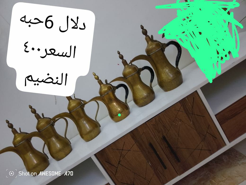 الرياض