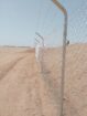 الرياض
