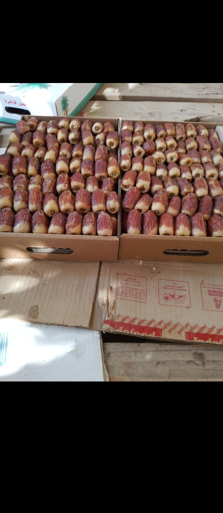 الرياض القصيم ابها نجران جيزان الدوادمي الخرج مكه