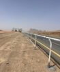 الرياض