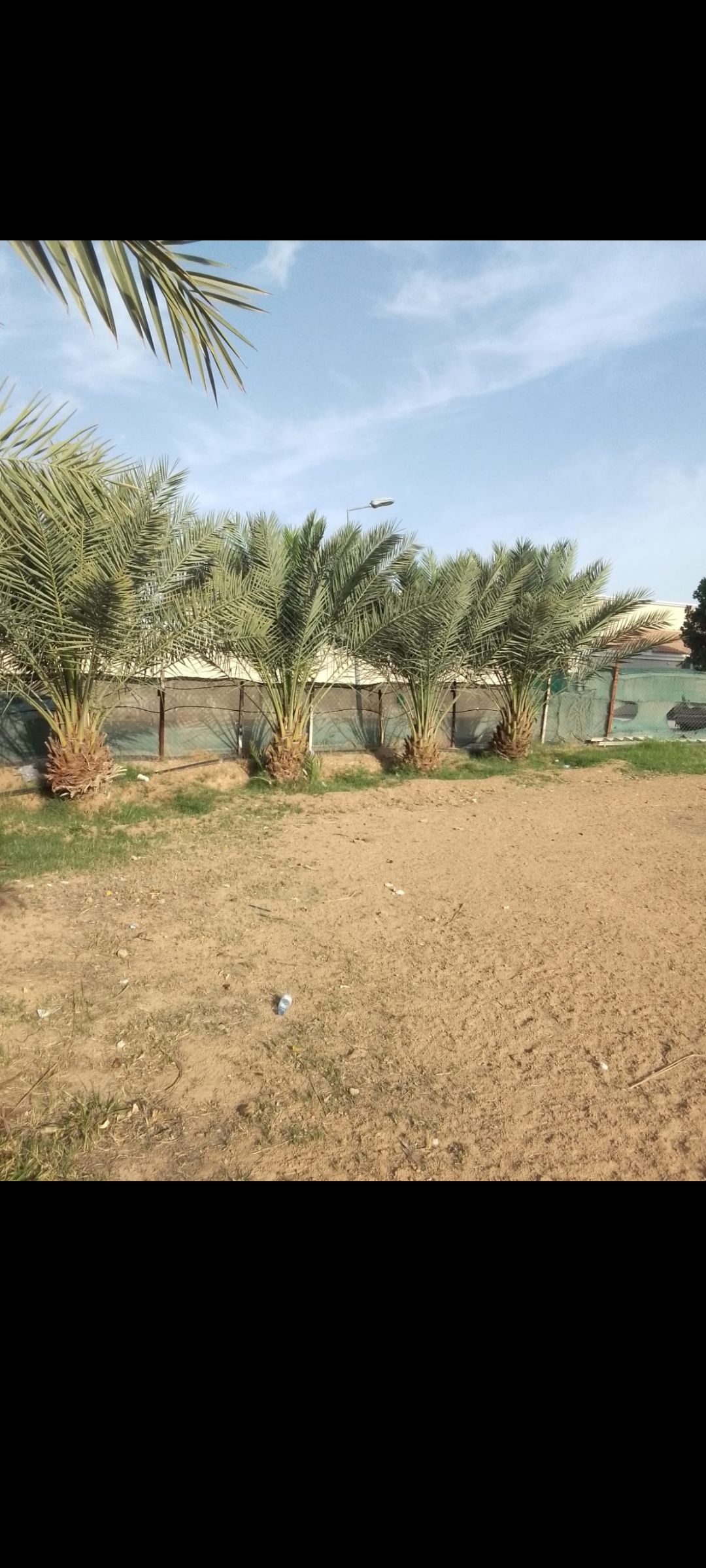 الرياض الجله وتبراك