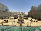 الرياض