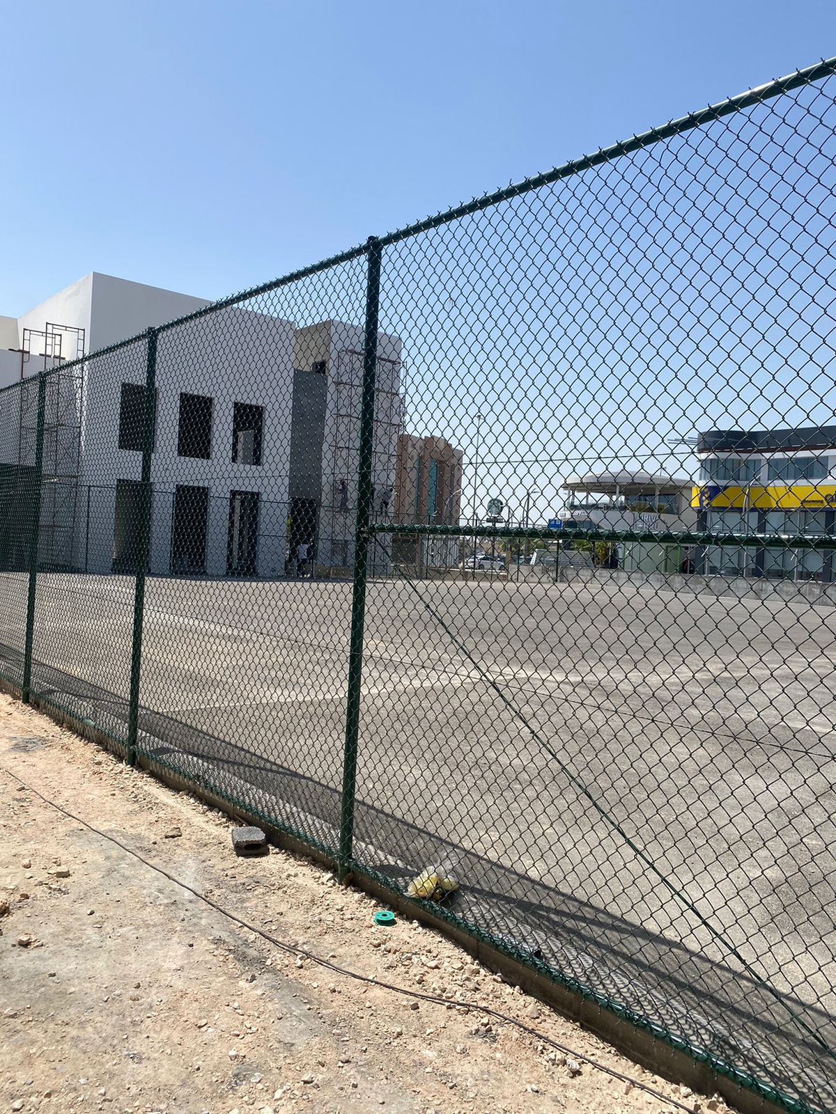 نقوم بتورد وتركيب جميع النواع الشبوك ونخيل عربي وو