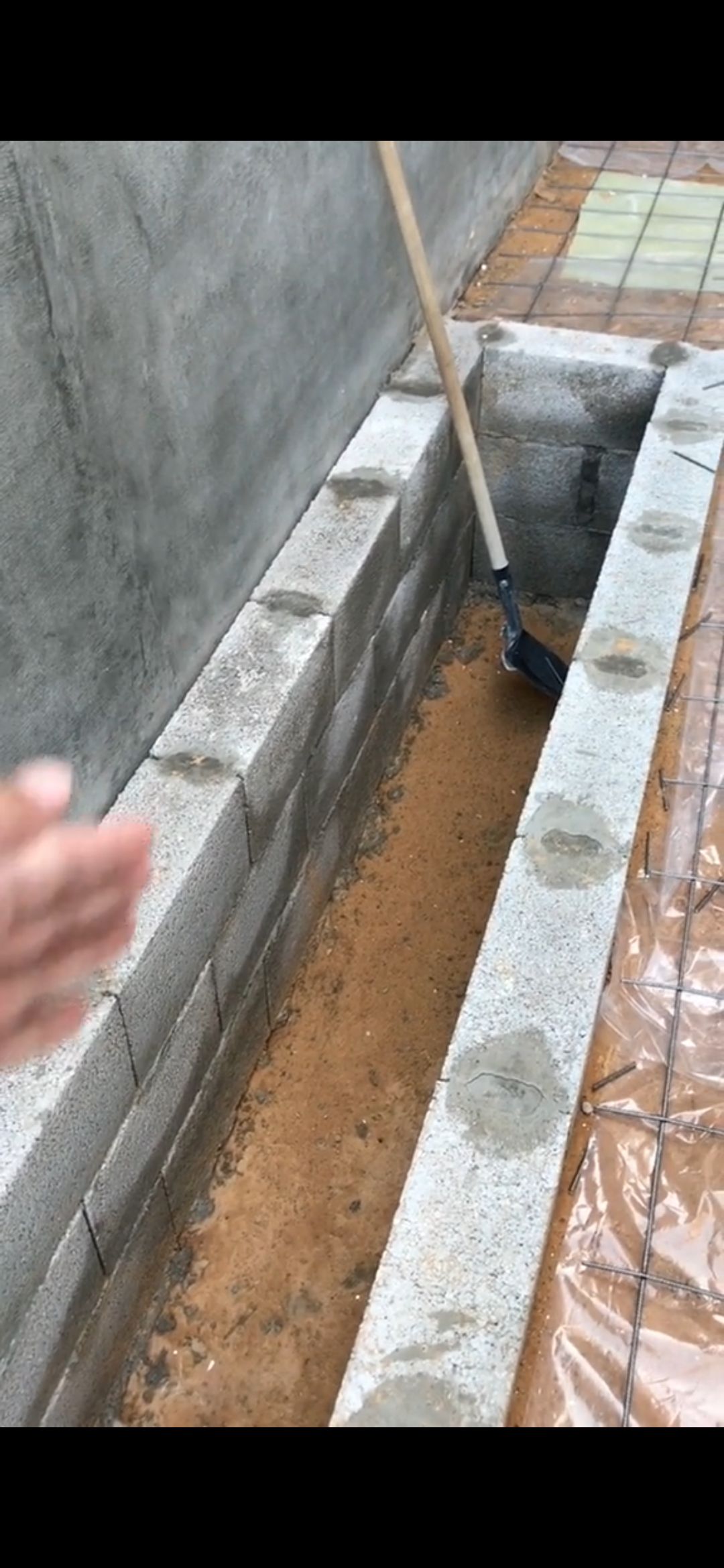 معلم بناء ولياسه بناء 👷‍♀️ احوض زرعه بناء بندور وق