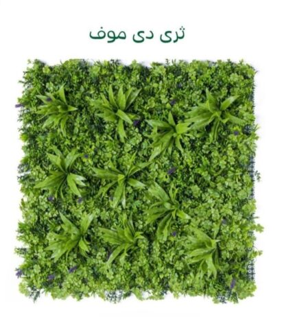 الرياض
