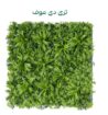 الرياض