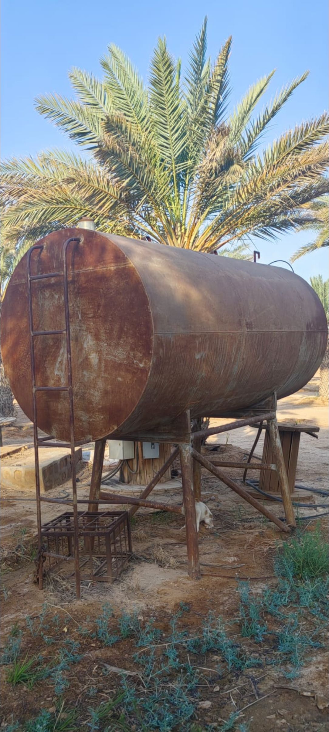 سكاكا الجوف