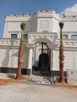 نخل واشنطني زينه