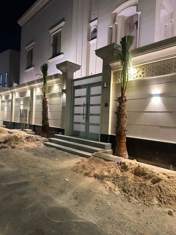 نخل واشنطني زينه