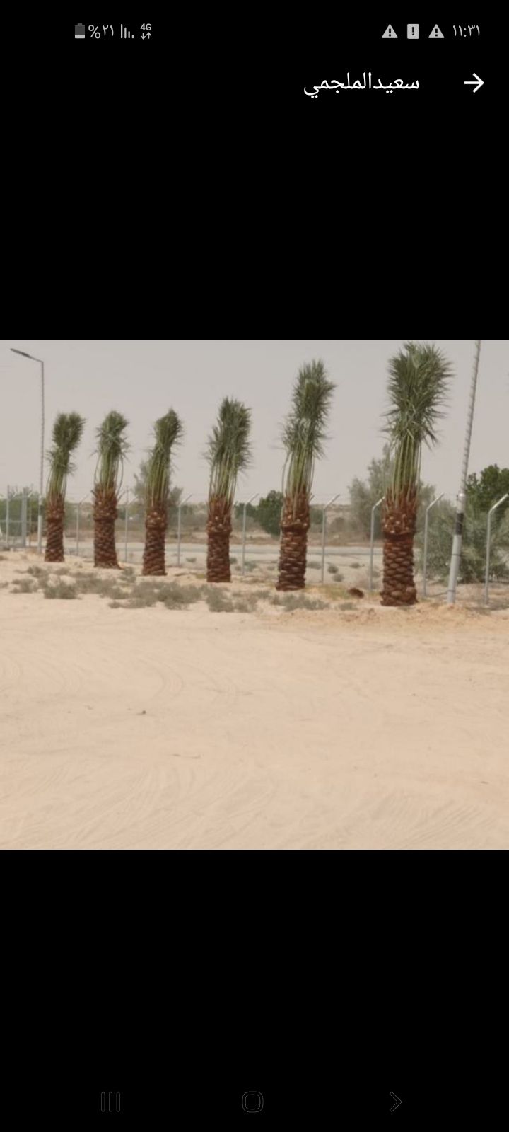 نقوم بتوريد وتركيب جميع النواع الشبوك