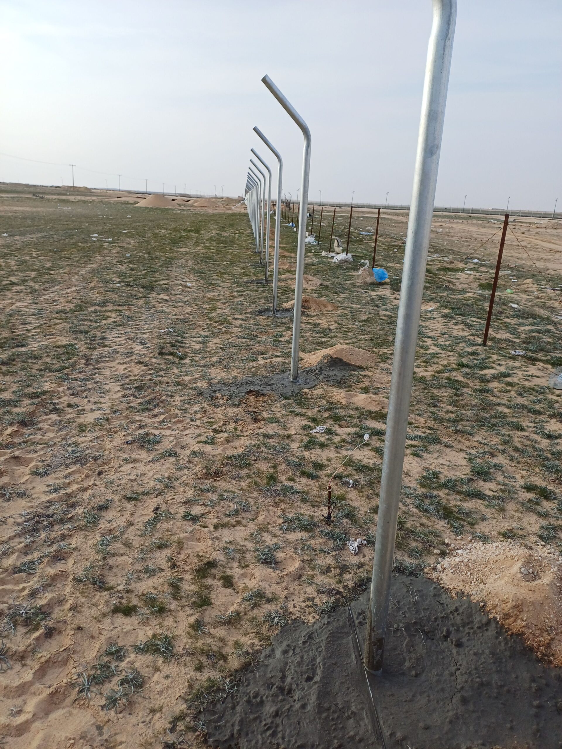 نقوم بتورد وتركيب جميع النواع الشبوك ونخيل عربي وو