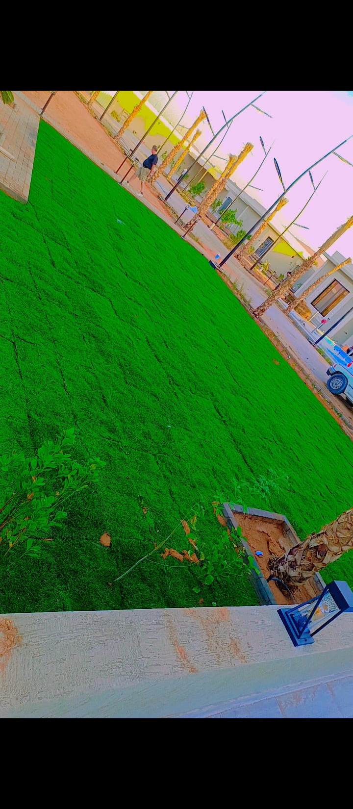 نعمل في زراعة وتركيب وتوريد الثيل باسعار مناسبة