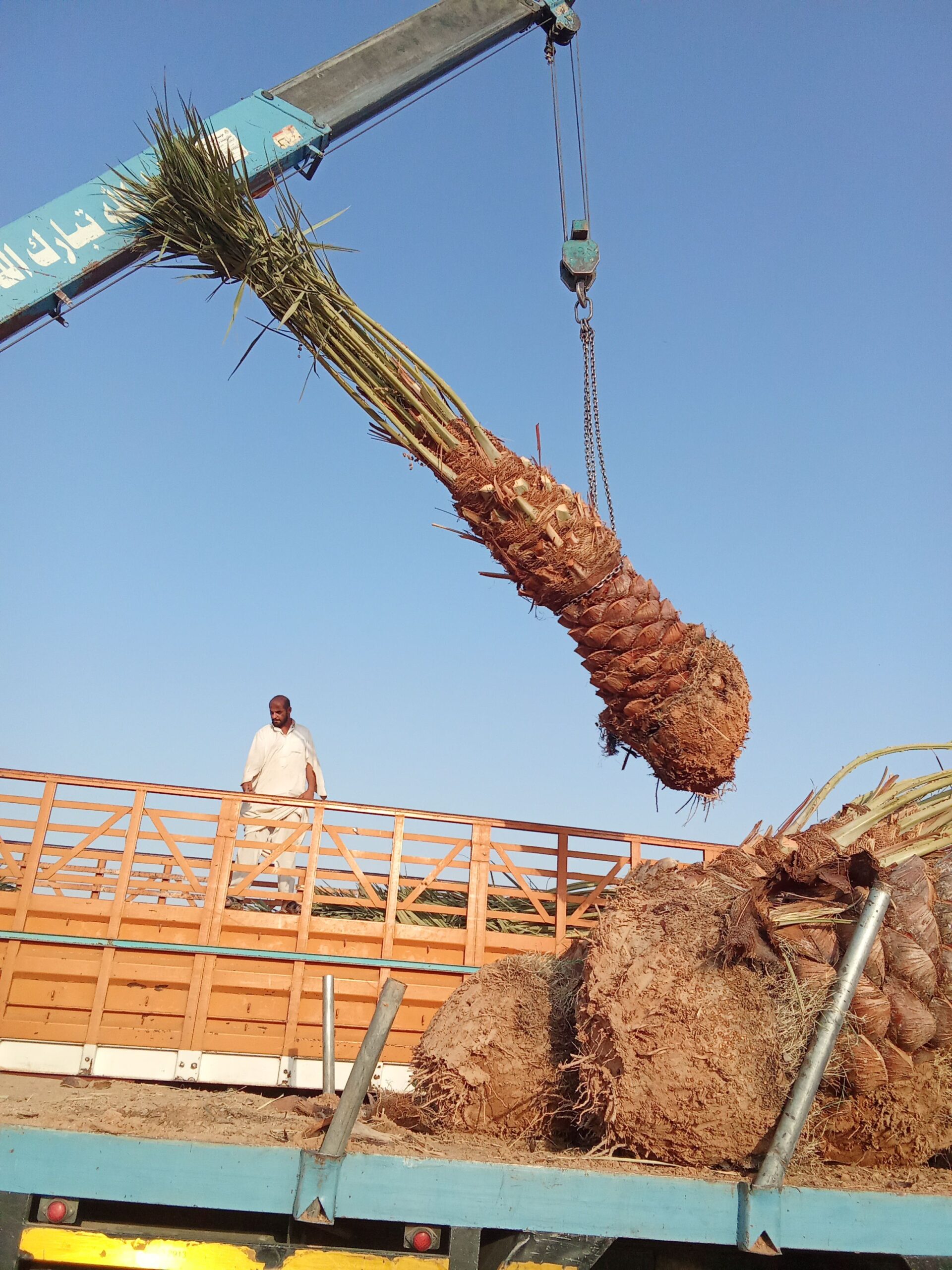 الرياض الخرج