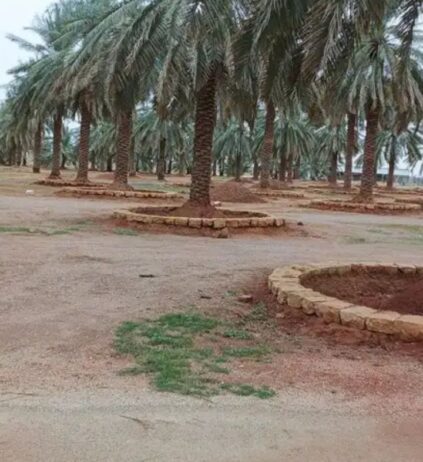 مقاول حجر