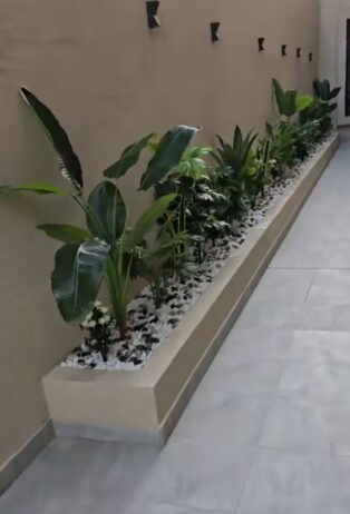 الرياض