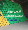 الرياض
