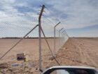الرياض
