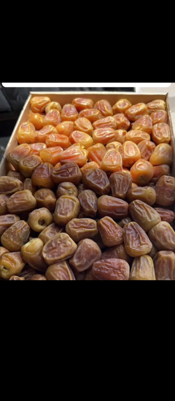 الرياض القصيم ابها نجران جيزان الدوادمي الخرج مكه