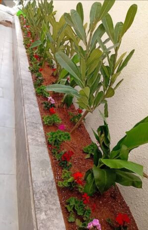 الرياض