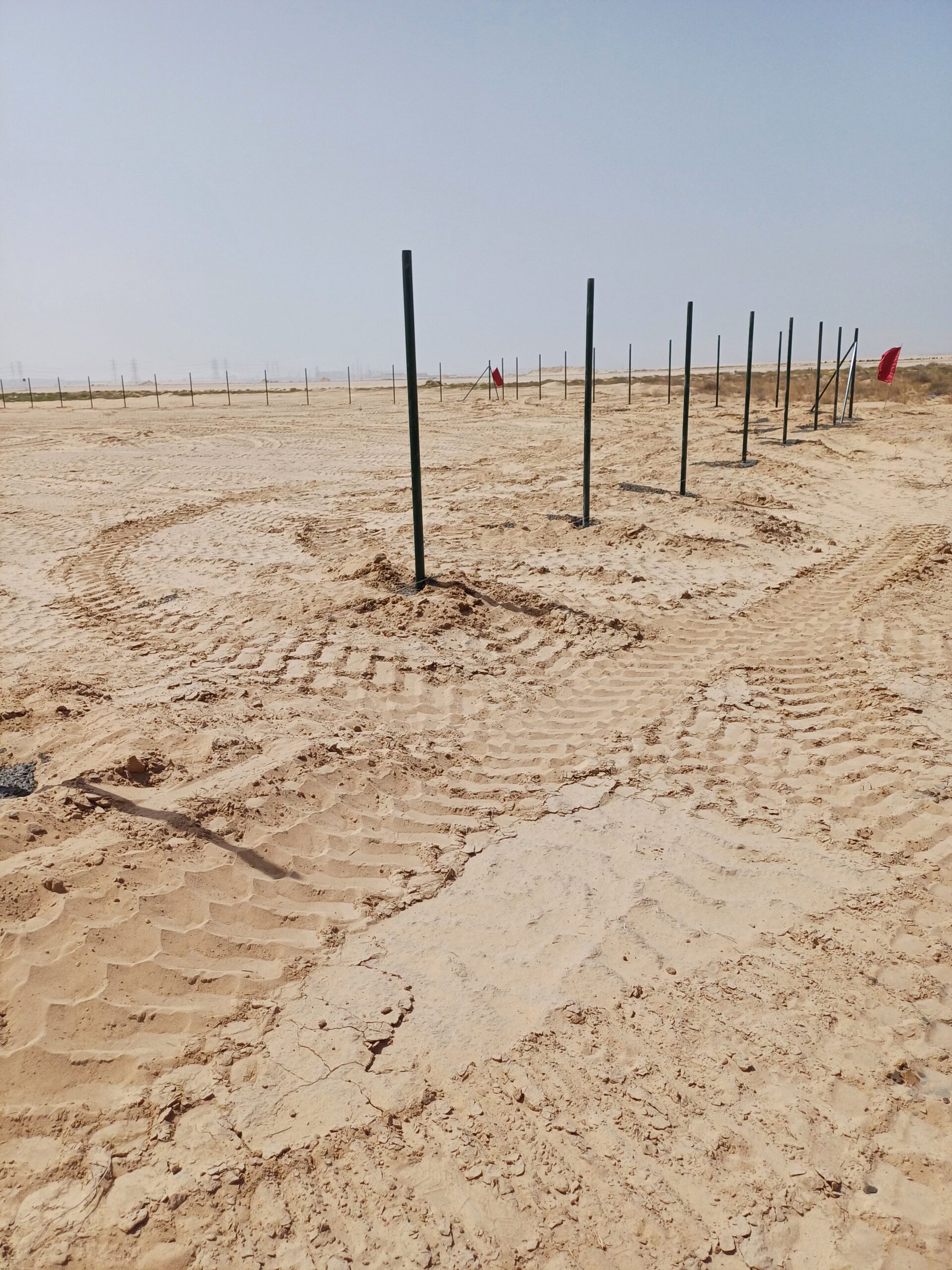 نقوم بتورد وتركيب جميع النواع الشبوك ونخيل عربي وو