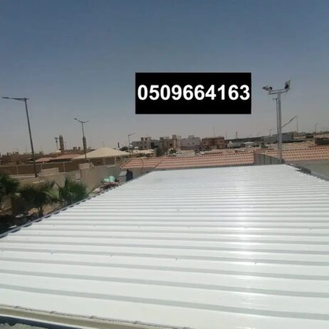 الرياض