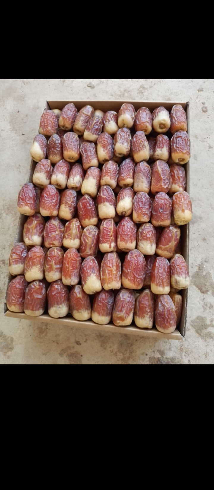 الرياض القصيم ابها نجران جيزان الدوادمي الخرج مكه