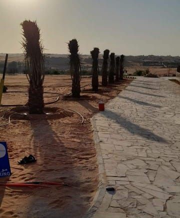مقاول شبوك ونخيل اسعار منخفضه