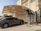 الرياض